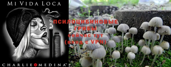 таблы Пестово