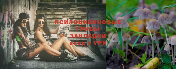 spice Пересвет