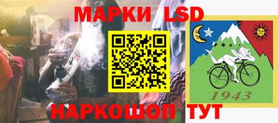 гашик Будённовск