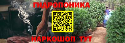 мяу мяу мука Бийск