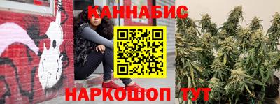 гашик Будённовск