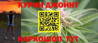 гашик Будённовск
