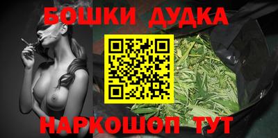 гашик Будённовск