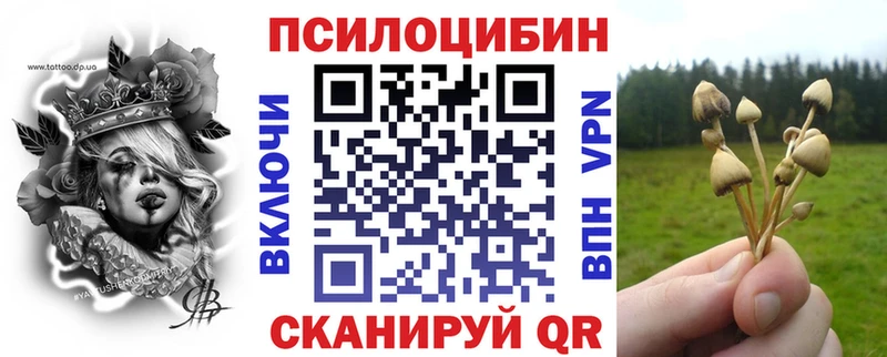 цены наркотик  гидра рабочий сайт  Галлюциногенные грибы Magic Shrooms  Димитровград 