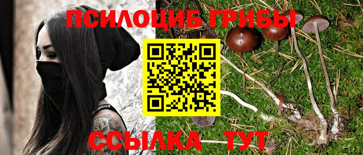 Сколько стоит  МАРИХУАНА  Ляпка  Димитровград  Вход с VPN  МЕФ  ГАШИШ  Бошки Шишки  КОКАИН 