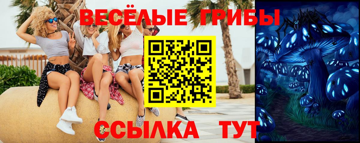 Димитровград  Псилоцибиновые грибы MAGIC MUSHROOMS  Вход с VPN 