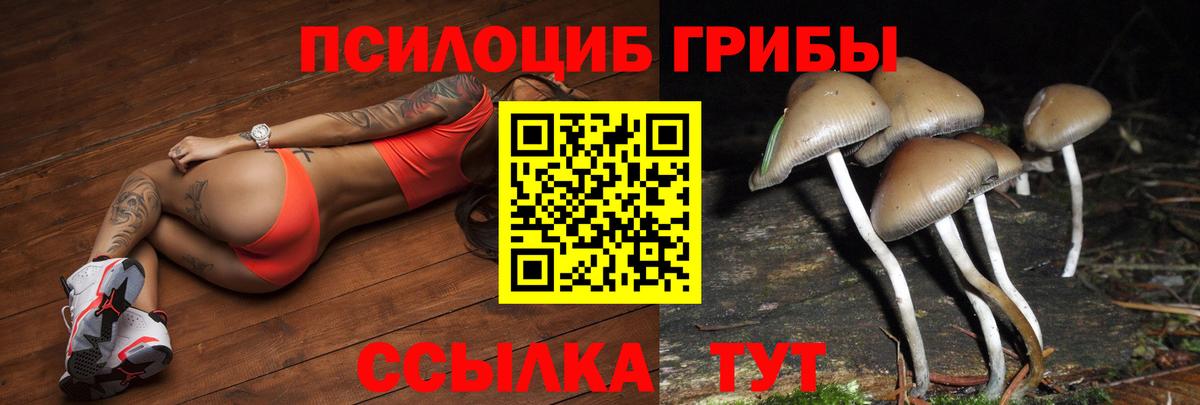 Псилоцибиновые грибы мицелий Димитровград