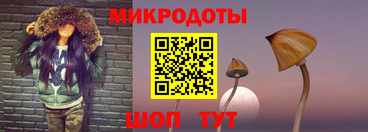 Галлюциногенные грибы Magic Shrooms  Димитровград 
